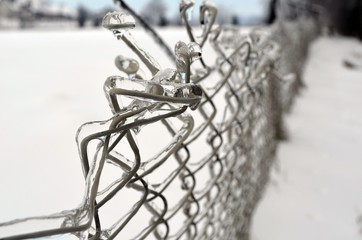 closeup of  wire netting