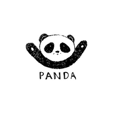 Hand drawn panda. Vector illustration isolated on white. Panda Logo Design Inspiration.