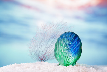 tropical seashell sea shell on sand with ocean