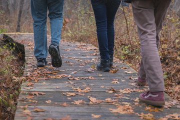 Walking on a Fall Path