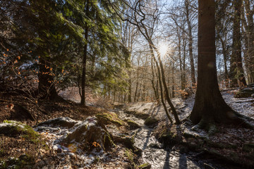 Obraz premium Bachlauf im winterlichen Wald mit Sonne im Gegenlicht
