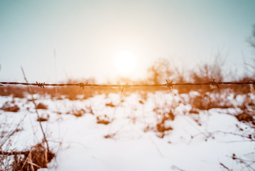 Winter landscape with barbwire