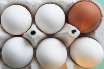 White chicken eggs opposite red in a cardboard box with empty space, background
