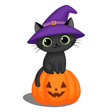 Black cat in a witch hat on a Halloween pumpkin