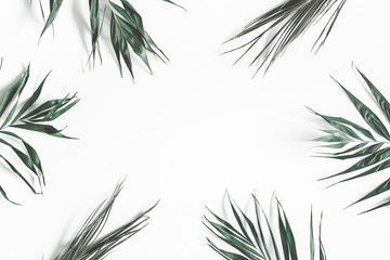 Green palm leaves on white background. Summer, nature concept. Flat lay, top view, copy space