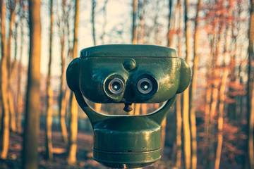 Green binoculars in the forest - 244598766