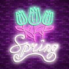 Neon banner spring. Stock vector. Poster for spring party.
