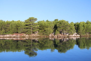 Fototapeta na wymiar Picturesque bay surrounded by greenery of a coniferous forest. Calm and rest after sea crossing. Croatian Riviera on the Adriatic Sea of the Mediterranean area. Mirror reflection of trees in the water