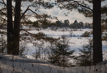 Winter picture. Lot of snow and beauty russian nature
