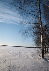 Winter picture. Lot of snow and beauty russian nature