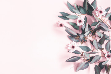 Flowers composition. Eucalyptus leaves and pink flowers on pastel pink background. Flat lay, top view, copy space
