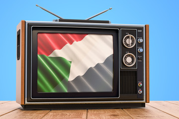 Sudanese Television concept, 3D rendering