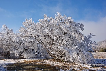 Appennino Ligure, Monte Begua