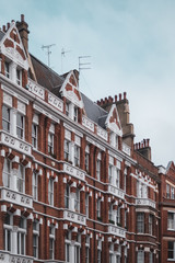 Fototapeta premium Row of houses in Chelsea London