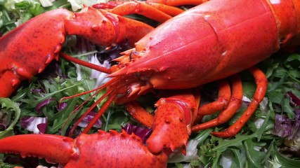 Lobster on salad, close up