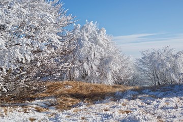 Appennino Ligure, Monte Begua