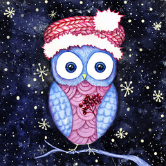 Cute owl in the santas hat and dogberry winter night. Watercolor and digital painting.