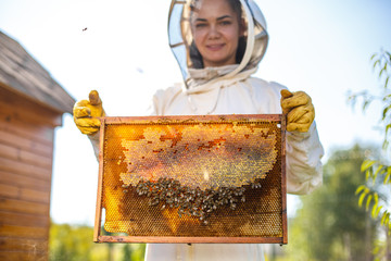 Young female beekeeper hold wooden frame with honeycomb. Collect honey. Beekeeping concept