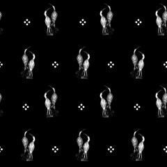 Birds pattern, bird pattern, dot pattern,trendy fashion pattern on black background.