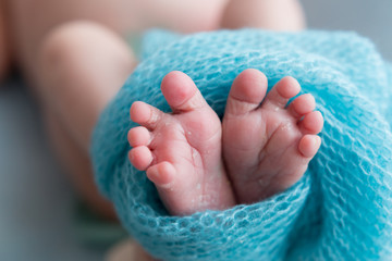 feet of a newborn baby. legs on a blue background. baby feet