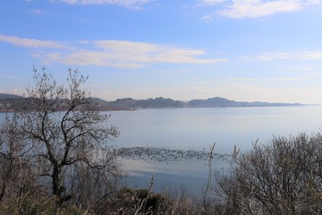 Fototapeta premium ETANG DE BERRE - BOUCHES DU RHONE - FRANCE
