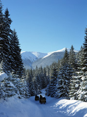 Fototapeta premium Tatrzanski National Park, Tatry Mountains, Poland: January, 2011 - Chocholowska Valley,