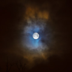 Naklejka na ściany i meble Moon eclipse in full moon. Super blue blood moon