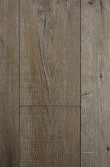 Wood texture. Wood texture for design and decoration