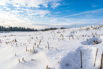 Fototapeta na wymiar Empty Countryside Landscape in Sunny Winter Day with Snow Covering the Ground, Abstract Background with Deep Look