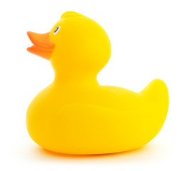 Isolated Yellow Rubber Duck
