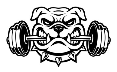 Black and white illustration of a bulldog with dumbbell