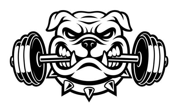 Black and white illustration of a bulldog with dumbbell