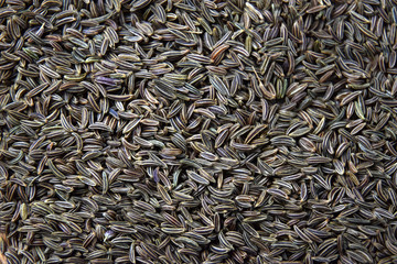 caraway seed cumin