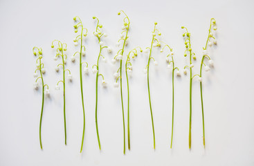 Lilies of the valley on white background.