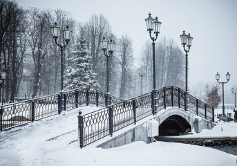 winter in the park