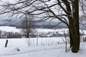 Snowy north Bohemia Landscape, Jizerske Mountains, Czech Republic