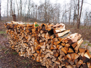 Brennholz - Kuschelige Wärme für den Kaminofen	