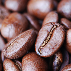 studio macro coffee beans