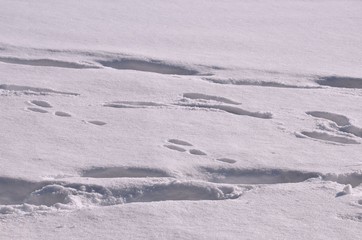 Fußspuren im Tiefschnee