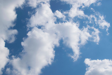 White fluffy, woolly cumulus clouds in a blue sky in mid- summer indicate fine weather for the present. Beauty and power of nature, meteorology and climate changing concept.
