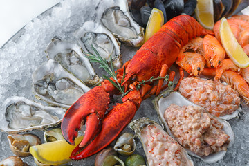 Red lobster on ice, with scallops, shrimps and mussels, closeup