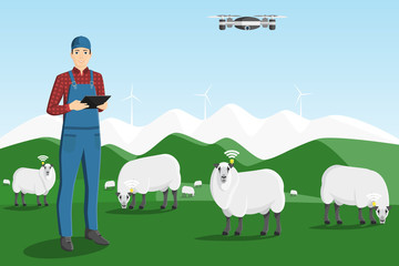 A farmer with a computer tablet is grazing a herd of sheep on a smart farm. 