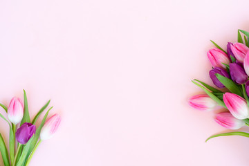 Pink fresh tulips - obrazy, fototapety, plakaty