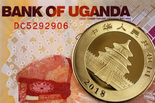 A close up image of a 1000 Ugandan shilling bill with a gold Chinese Panda coin from 2015