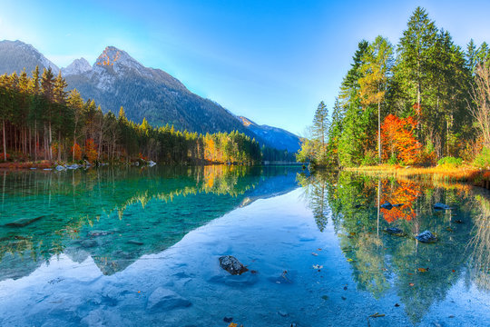 Beautiful autumn sunrise scene with trees near turquoise water of Hintersee lake