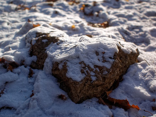 stone in Park in snow in winter