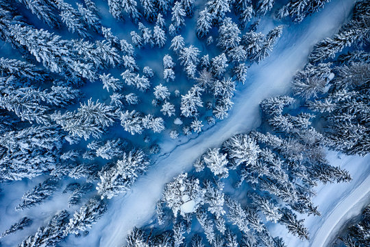 Aerial. Trees and snow in a winter forest. Nature background top view.