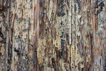 texture of old paint on wooden boards