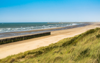 Fototapeta na wymiar Beach, summer and paysage concept: view of the beach, vegetation on the dunes and wooden breakwater on the north sea.Oye-Plage in France.