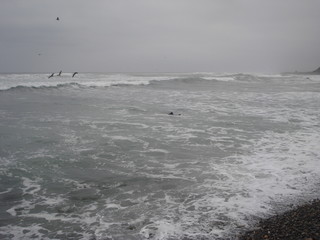 Delta of the Canete river with the Pacific Ocean in Herbay Bajo Valley.